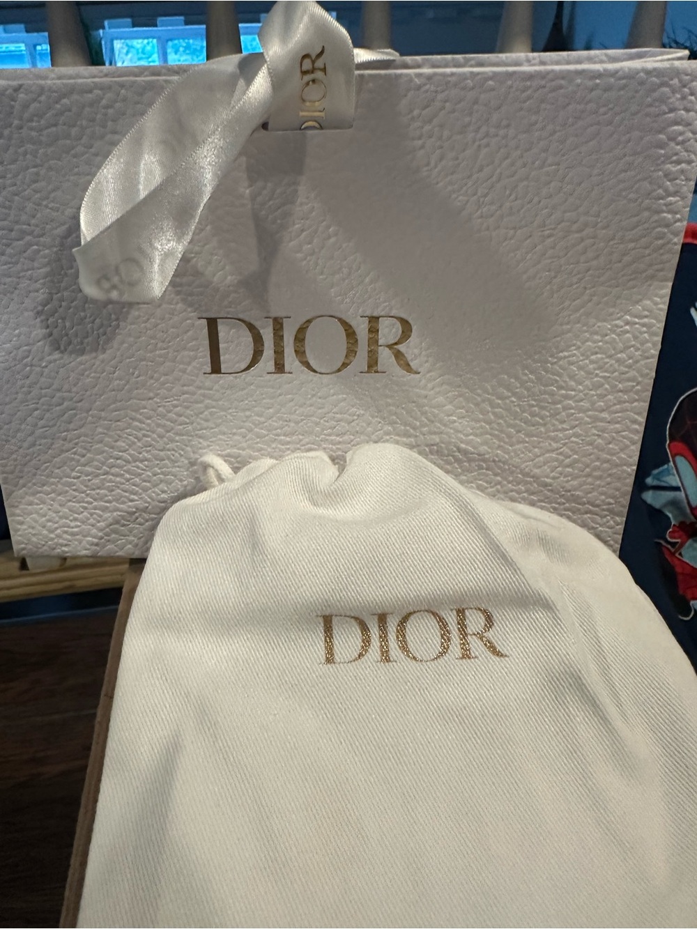 Empty Dior Pouch and Gift Bag